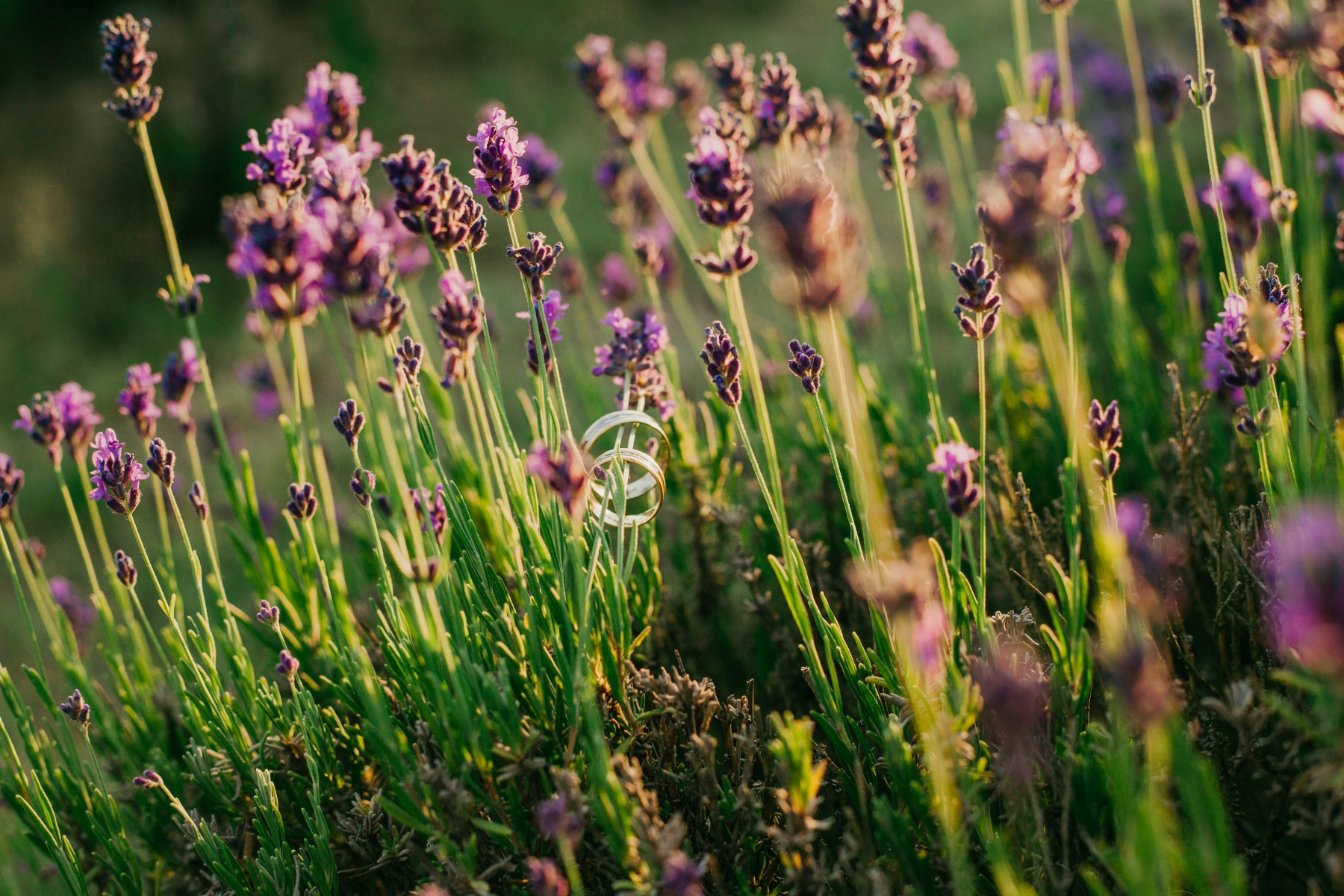 Jegyes fotózás, Páros fotózás